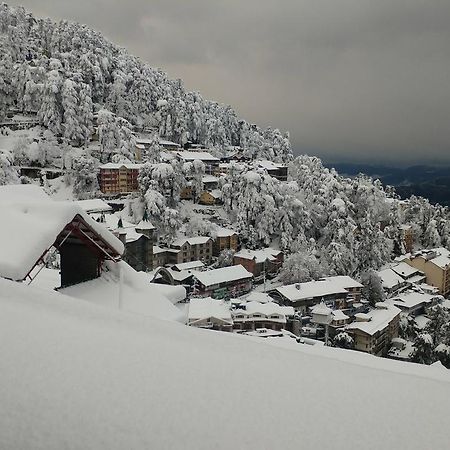 Ymca Tourist Hostel Simlá Kültér fotó